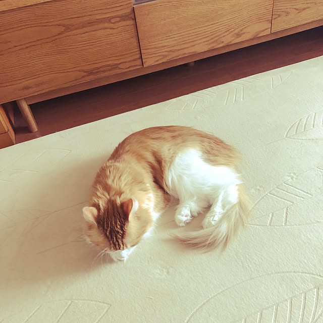 uchidaizuさんの実例写真