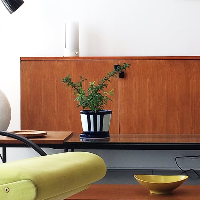 Shinjiさんの実例写真