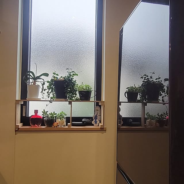 natuさんの実例写真
