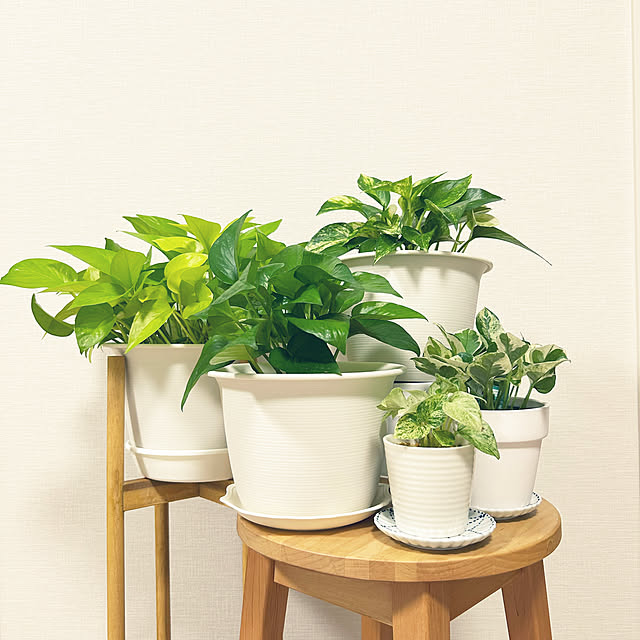 yoyoyoさんの実例写真