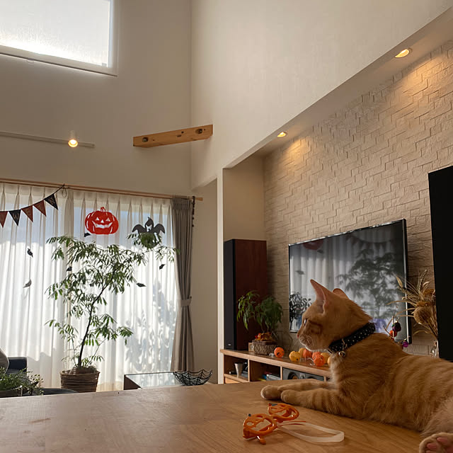 comoさんの部屋