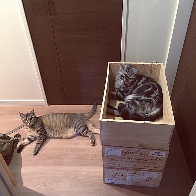 mikomaruさんの実例写真