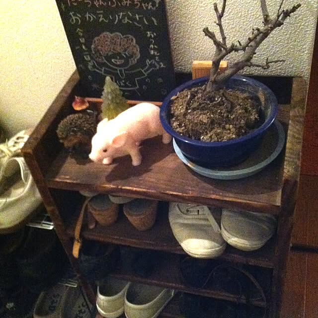 Fumikaさんの実例写真