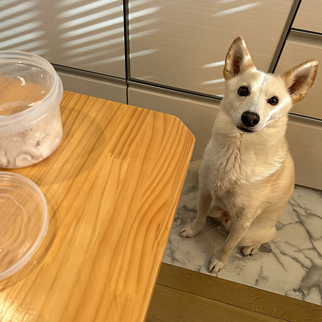 tanboさんの実例写真
