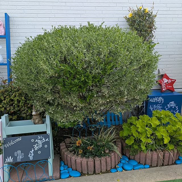 Miyumamaさんの部屋