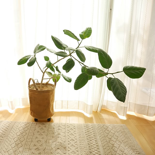 merciさんの部屋