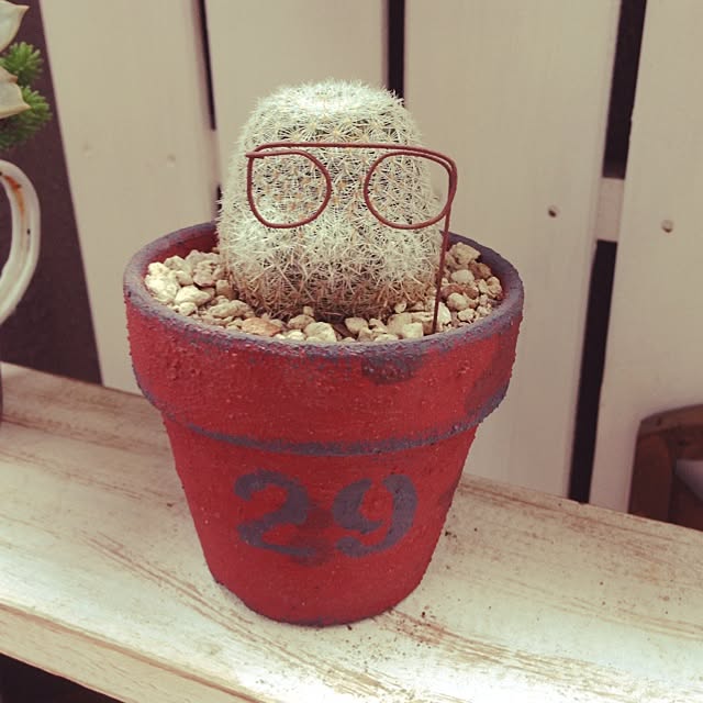 yurippeさんの実例写真