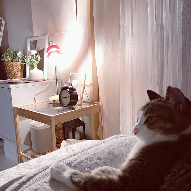 nekomiさんの実例写真