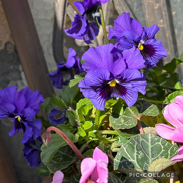 Smilkazuさんの部屋