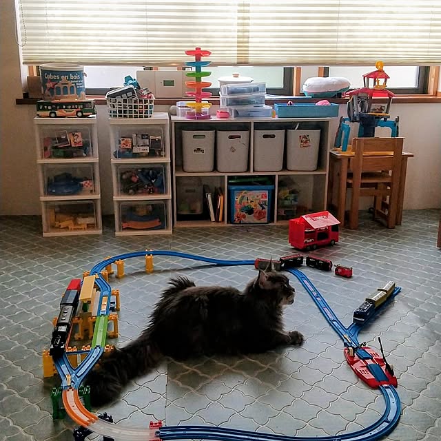 tora3さんの実例写真