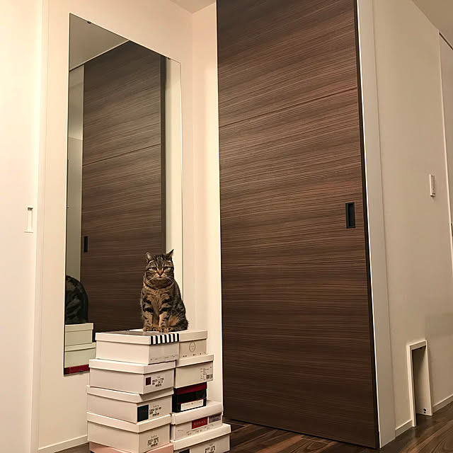 kaedeさんの実例写真