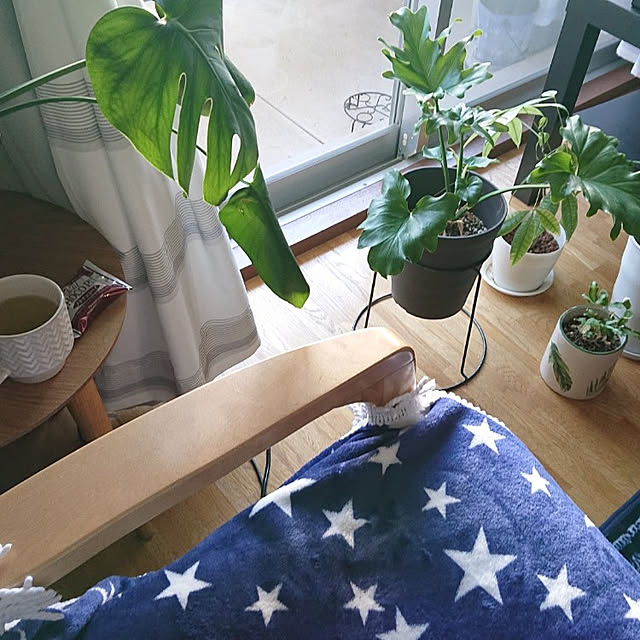 taeさんの実例写真