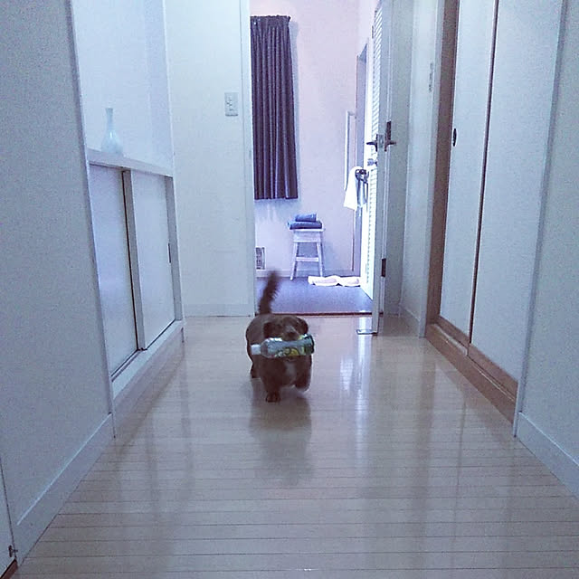 satoさんの実例写真