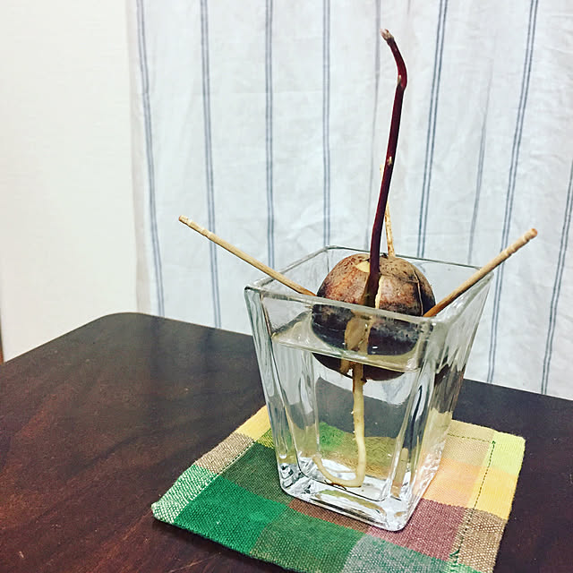 totokoさんの実例写真