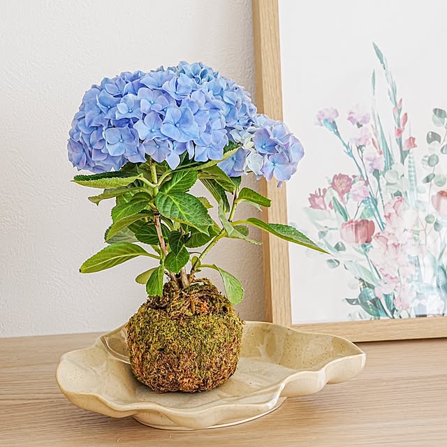 misaki.tさんの部屋