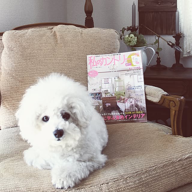 happy_bridgeさんの実例写真