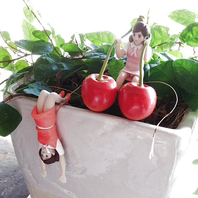 miwaさんの実例写真