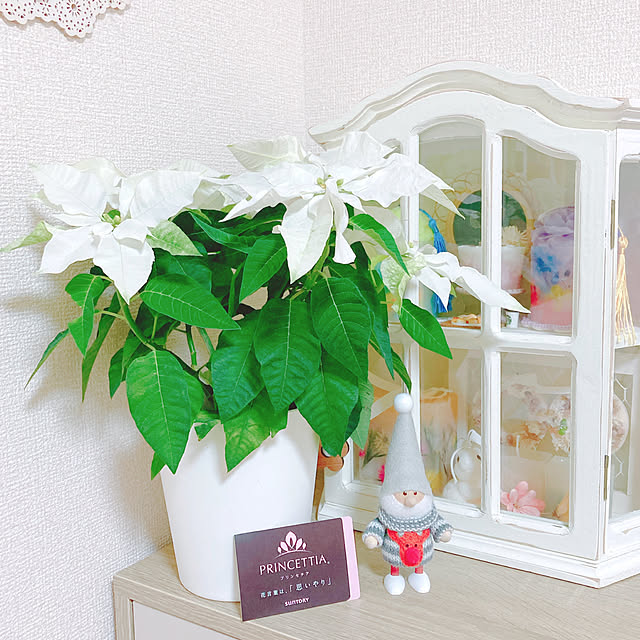 yuyuさんの部屋
