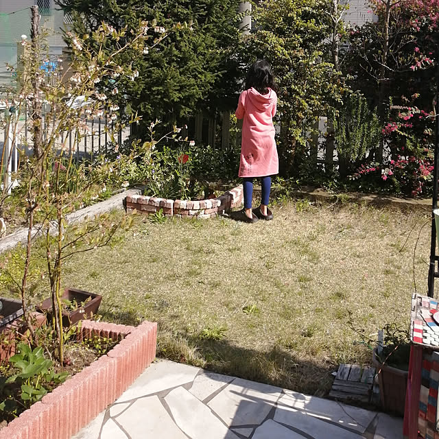 mind_komaさんの実例写真