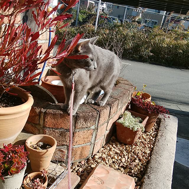 tomo1220さんの実例写真
