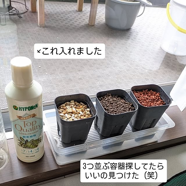 mi-saさんの部屋