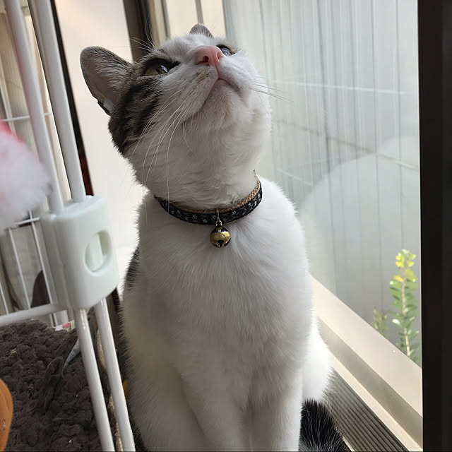 ranpo_momさんの実例写真