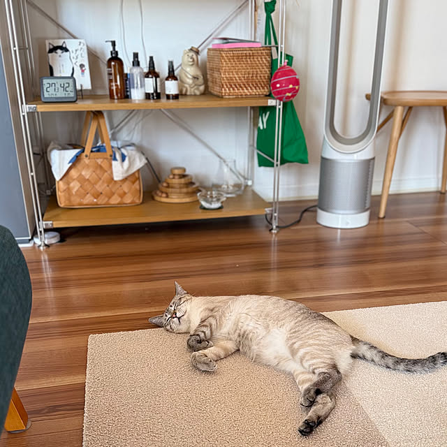 amさんの実例写真