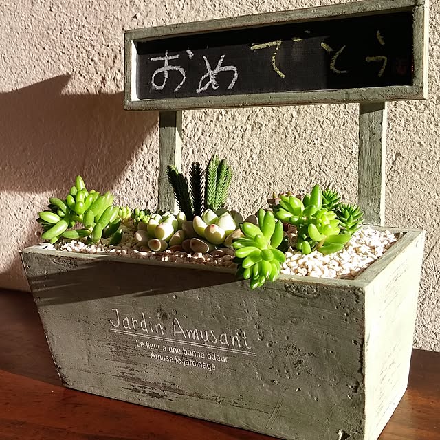 机/多肉植物のインテリア実例 - 2017-02-13 23:30:46