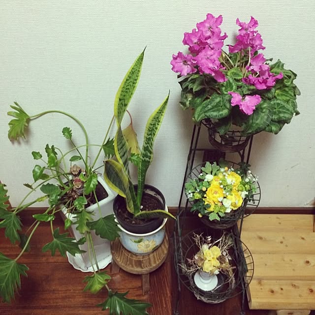 mikkoさんの実例写真