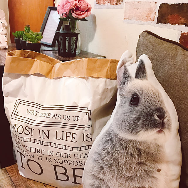 USAGiNさんの実例写真