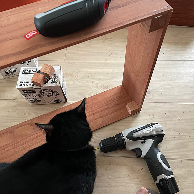 coolcats0528さんの部屋
