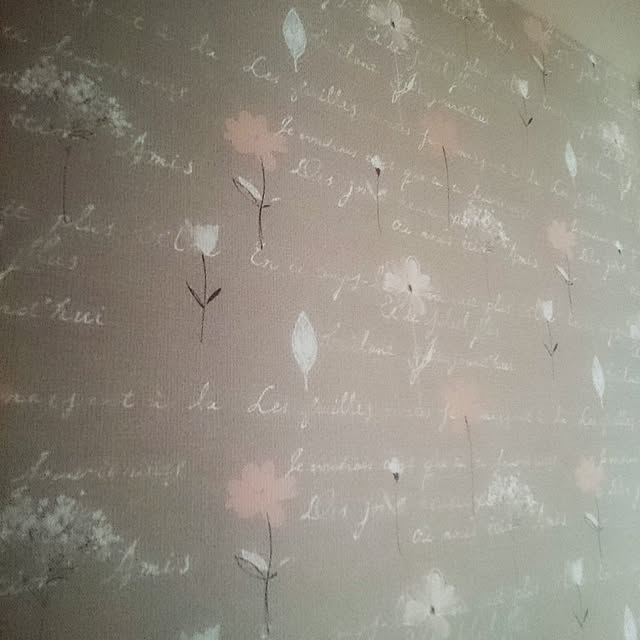hoshiさんの実例写真