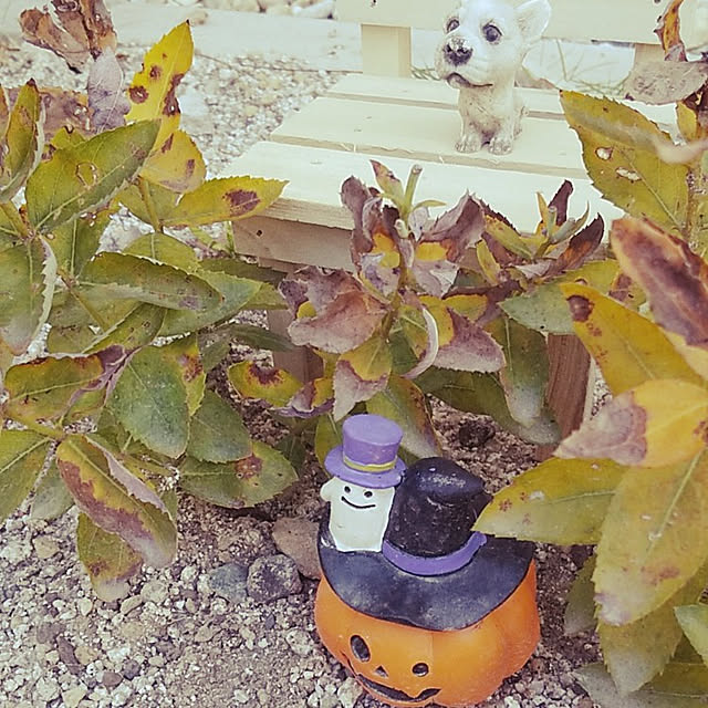 YuKwnさんの実例写真