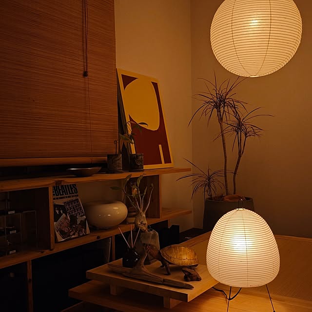 akatsuoさんの実例写真