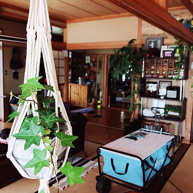 myu522_hさんの実例写真