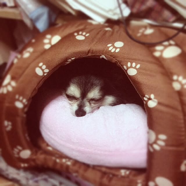 実例写真