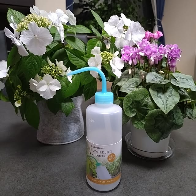 NOAHさんの実例写真