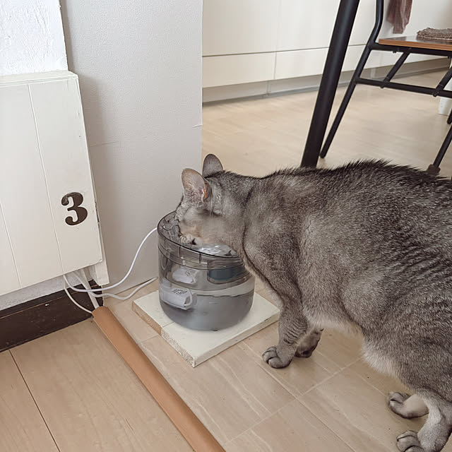kotoriさんの部屋