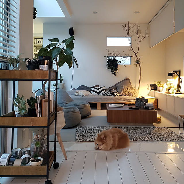 mi-さんの実例写真