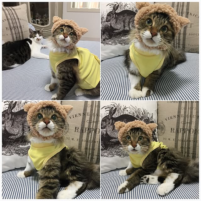 yuchiさんの実例写真