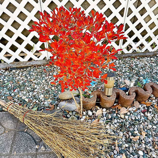 miyuさんの実例写真