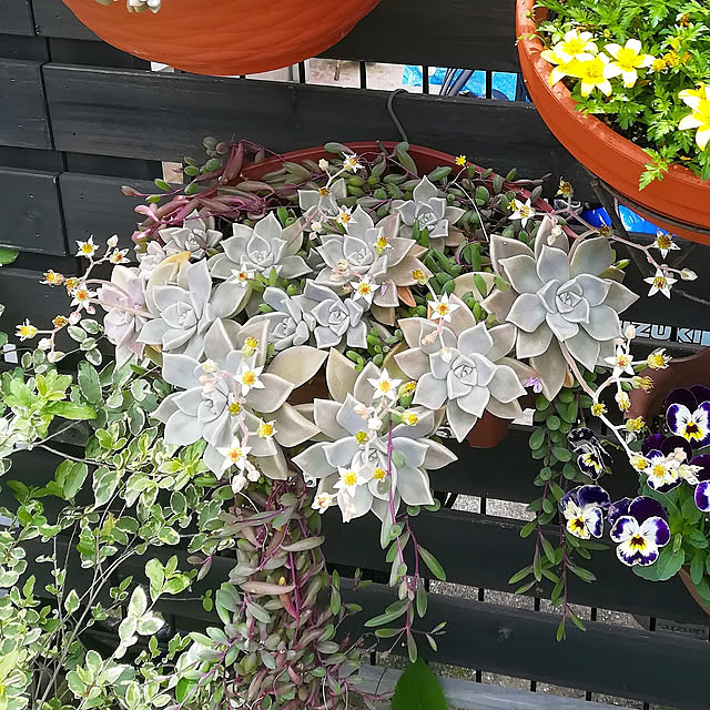 VERANDARJUNさんの実例写真