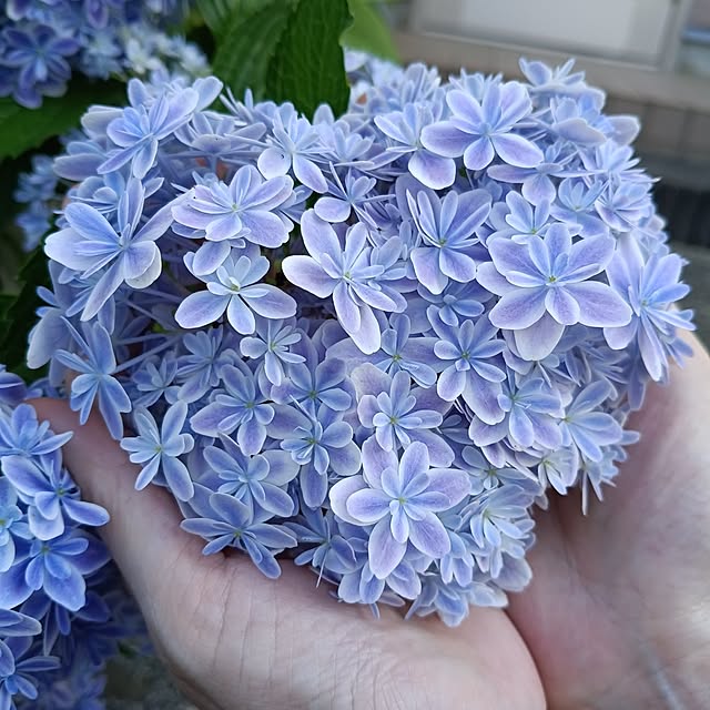 ryo.kotaさんの実例写真
