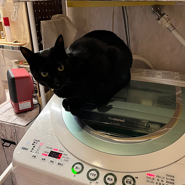 jijiさんの部屋