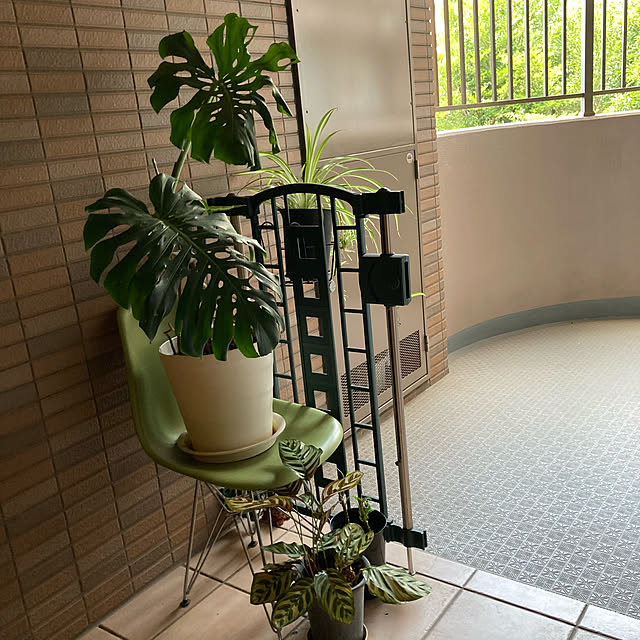 kan2さんの実例写真