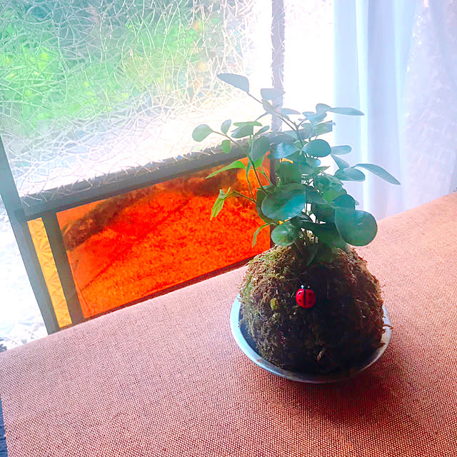 portulacaさんの実例写真