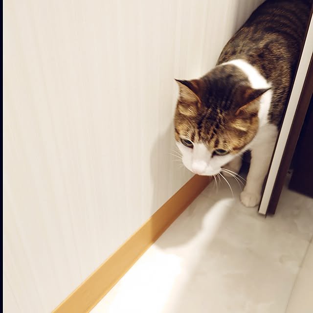 nachiさんの部屋