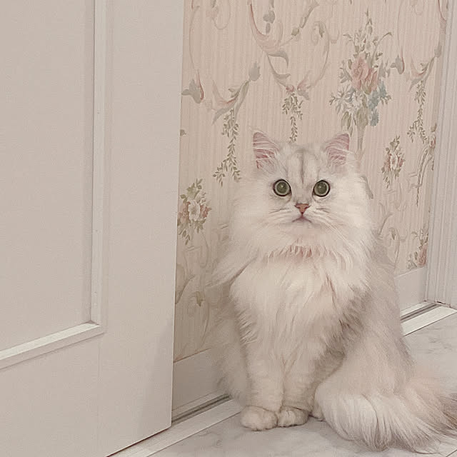 lovechanさんの実例写真