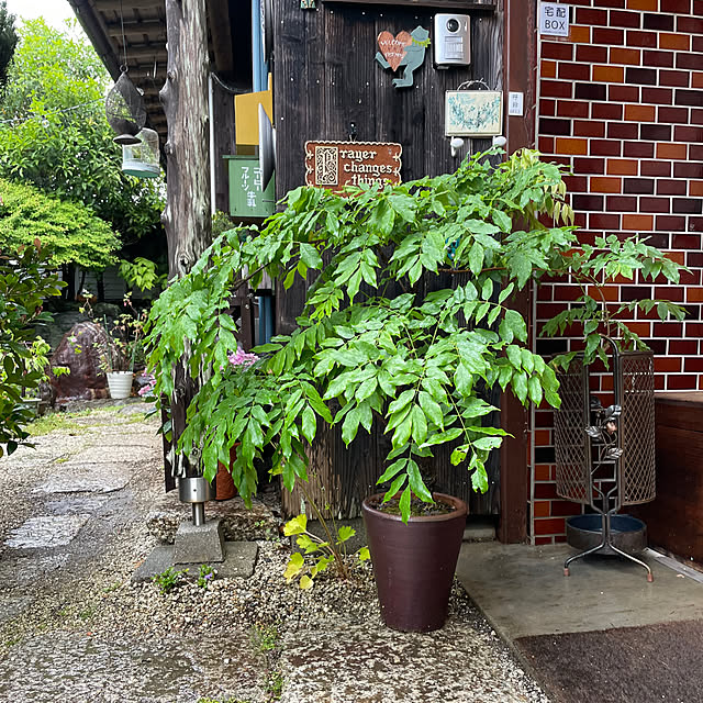 shin0719さんの実例写真
