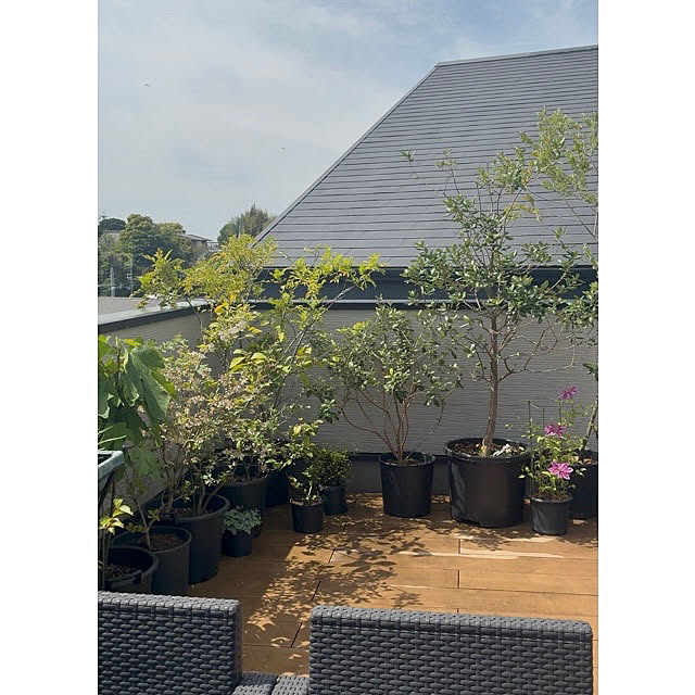 maaLさんの実例写真